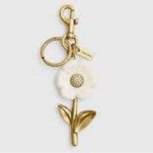 Coach Daisy gold bag charm brass chalk the summer I turned pretty